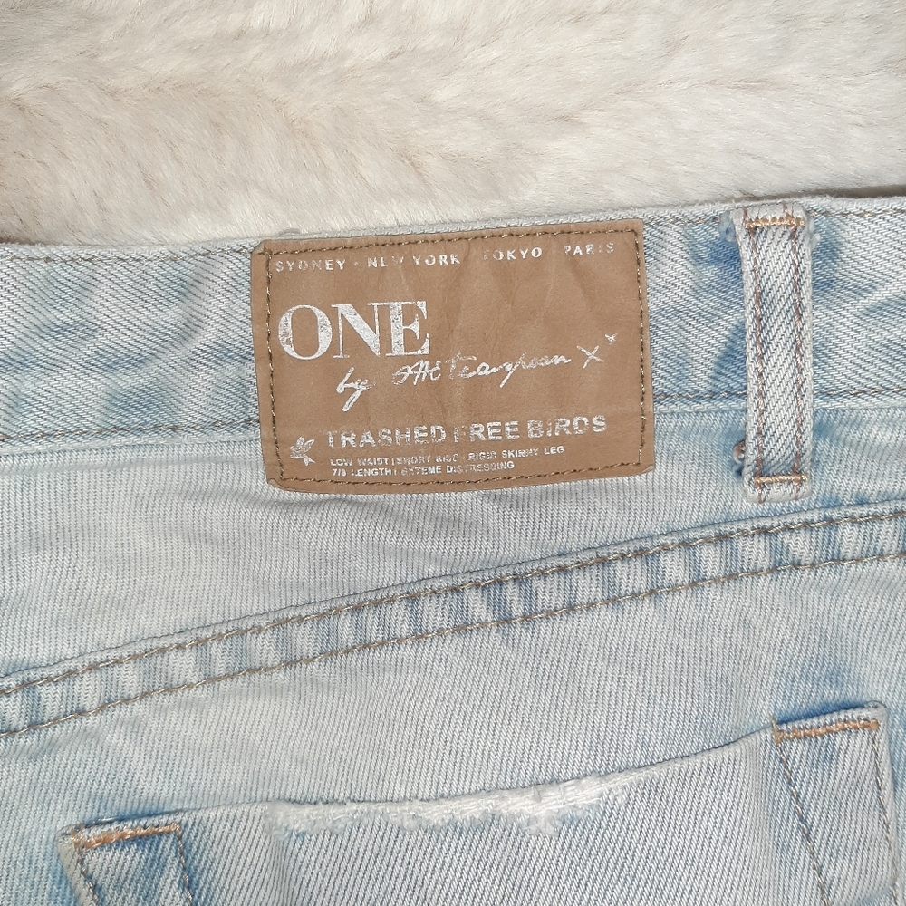 EUC Trashed Free birds jeans